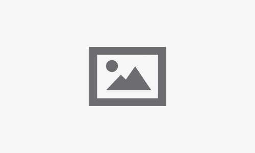 Update on final-year Fees Free