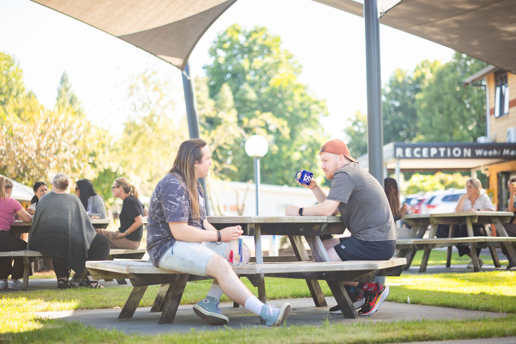 Social Practice at BTI