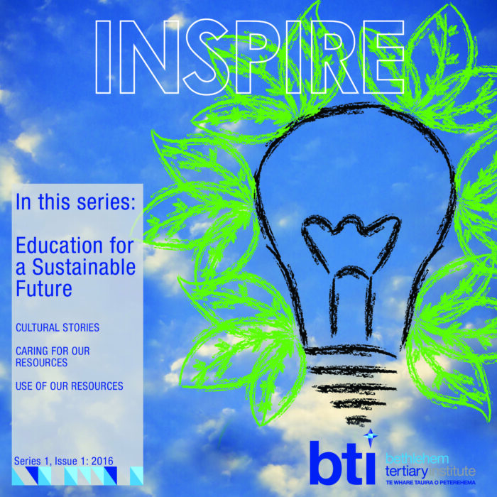 Cover of Inspire 1.1